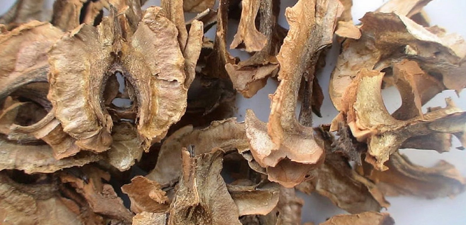 Ceviz Perdesi Çayı: İpucları ile Doğru Demleme Rehberi